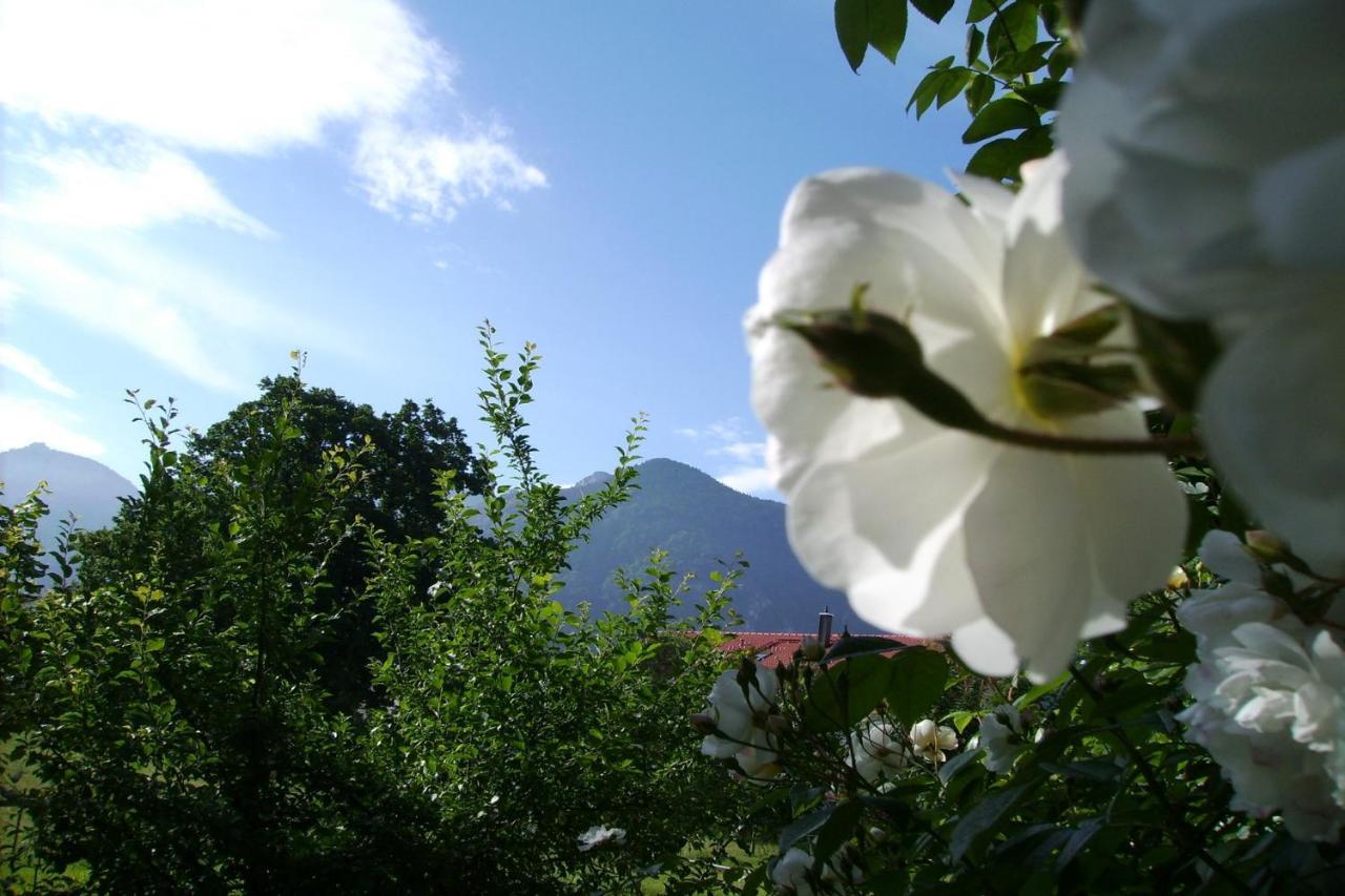Fetznhof-Zuhaus Villa Grassau  Bagian luar foto