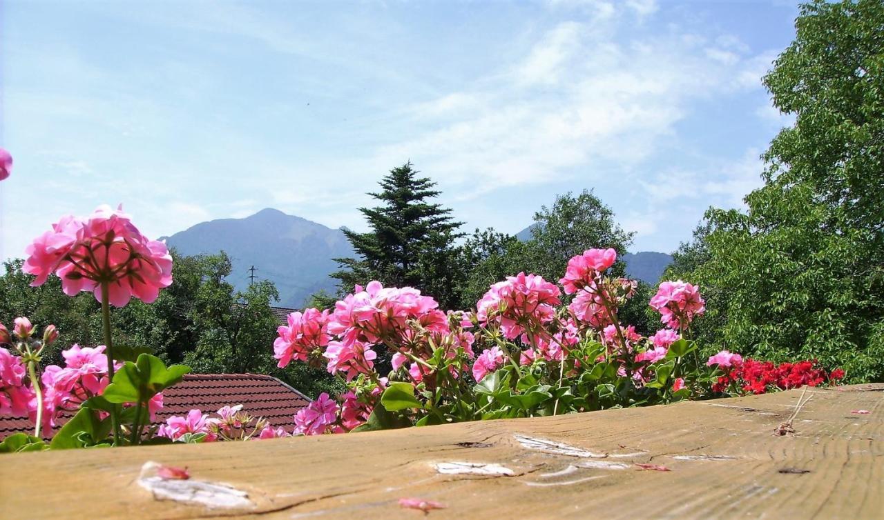 Fetznhof-Zuhaus Villa Grassau  Bagian luar foto