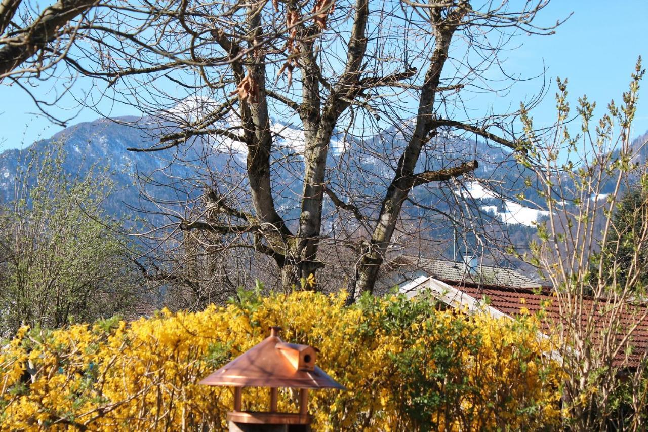 Fetznhof-Zuhaus Villa Grassau  Bagian luar foto